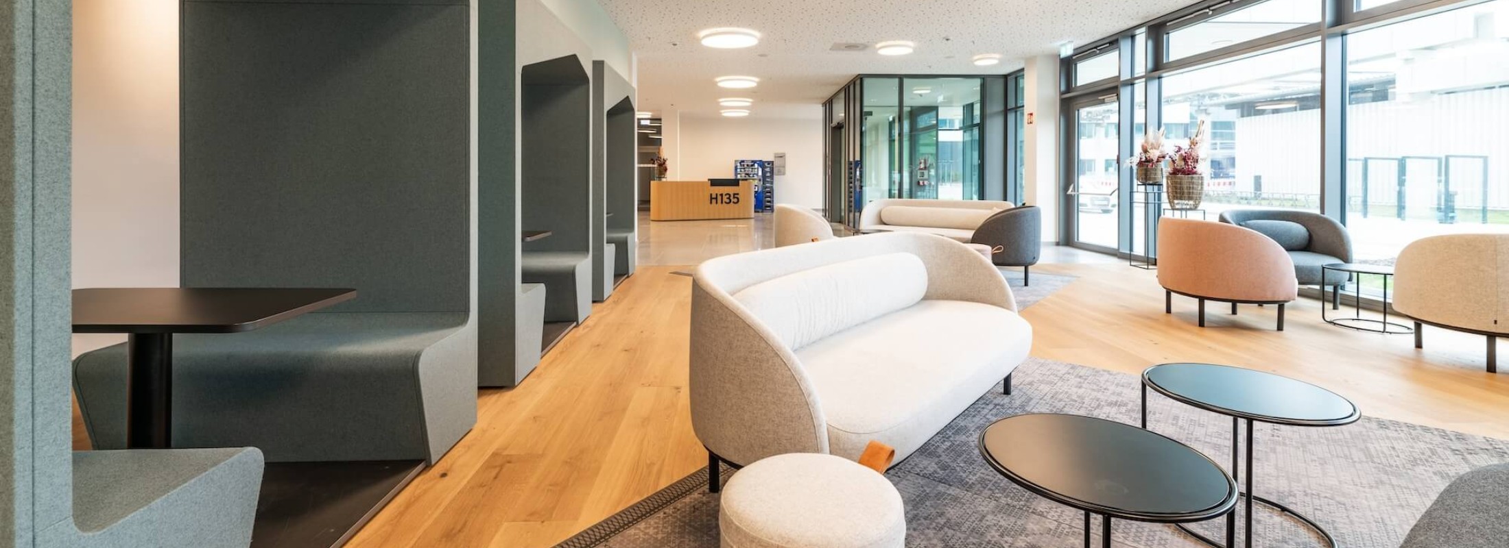 kundenreferenz-meinlschmidt-boehringer-bakb-001 Lounge-Bereich der Firma Boehringer Ingelheim Pharma mit bequemen Sofas, Sitzecken und ruhiger Atmosphäre