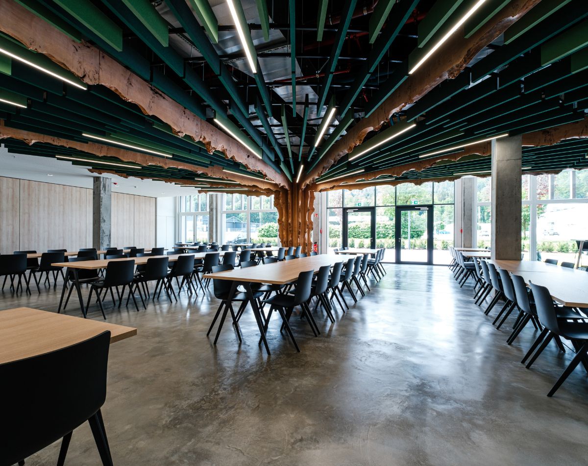 Meinlschmidt Raumkonzepte Referenz Erbe Elektromedizin GmbH